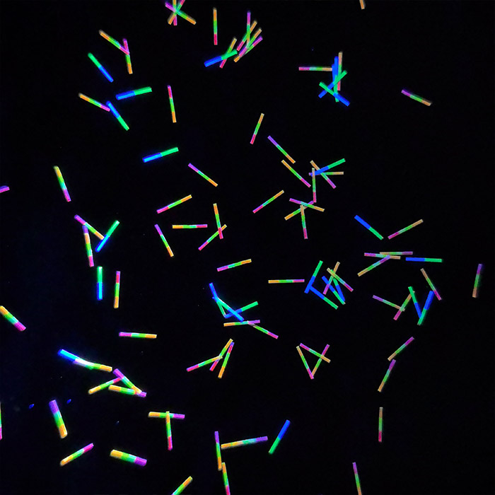 正反异色异段纤维